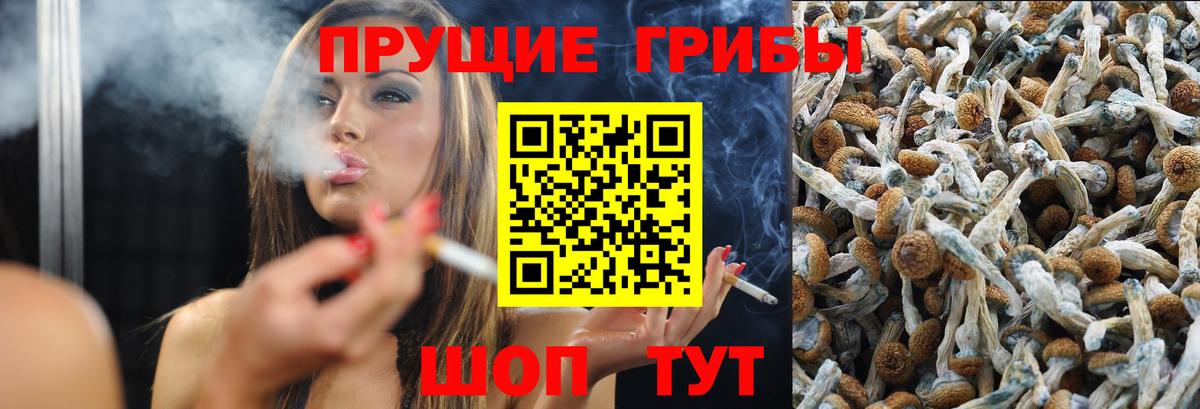 Псилоцибиновые грибы Psilocybine cubensis  Псилоцибиновые грибы ЛСД  что такое   Вход с VPN  Великий Устюг 