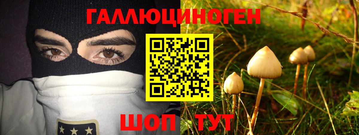 Галлюциногенные грибы MAGIC MUSHROOMS Великий Устюг